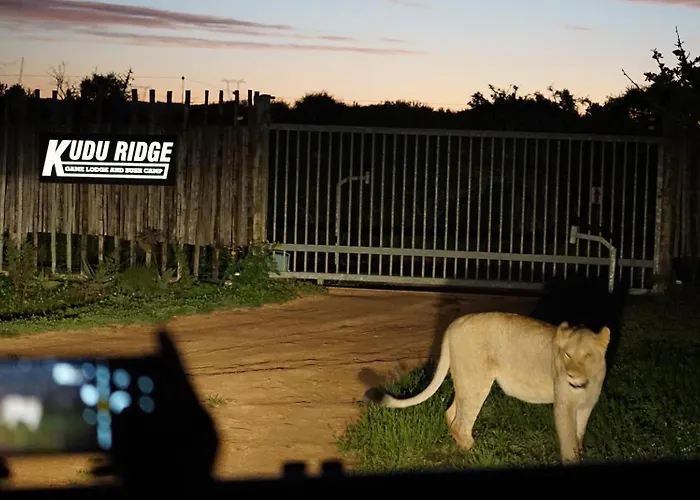 Kudu Ridge Game Lodge