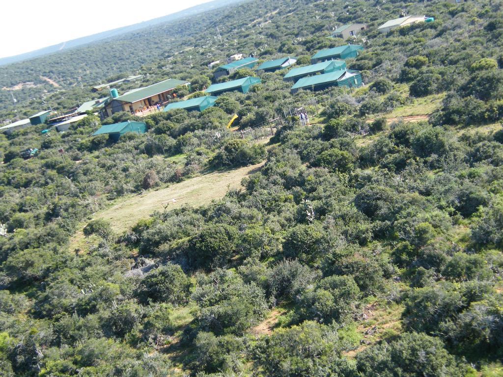 Kudu Ridge Game Lodge *