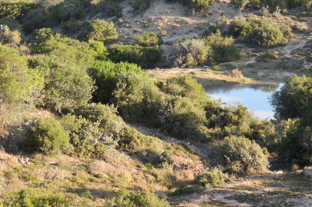 Lodge Kudu Ridge Game Addo