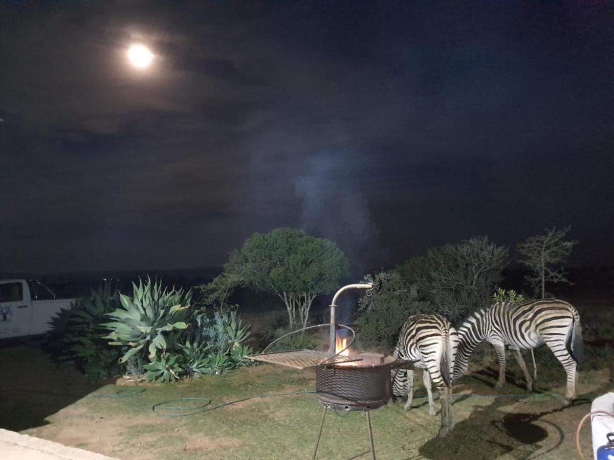 Kudu Ridge Game Lodge Addo