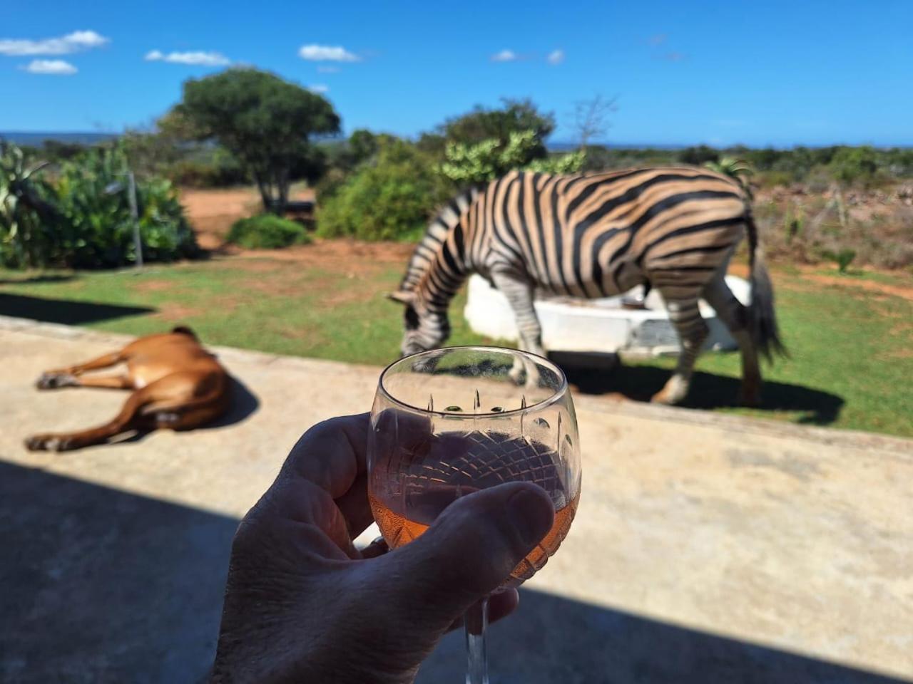 Kudu Ridge Game Lodge *