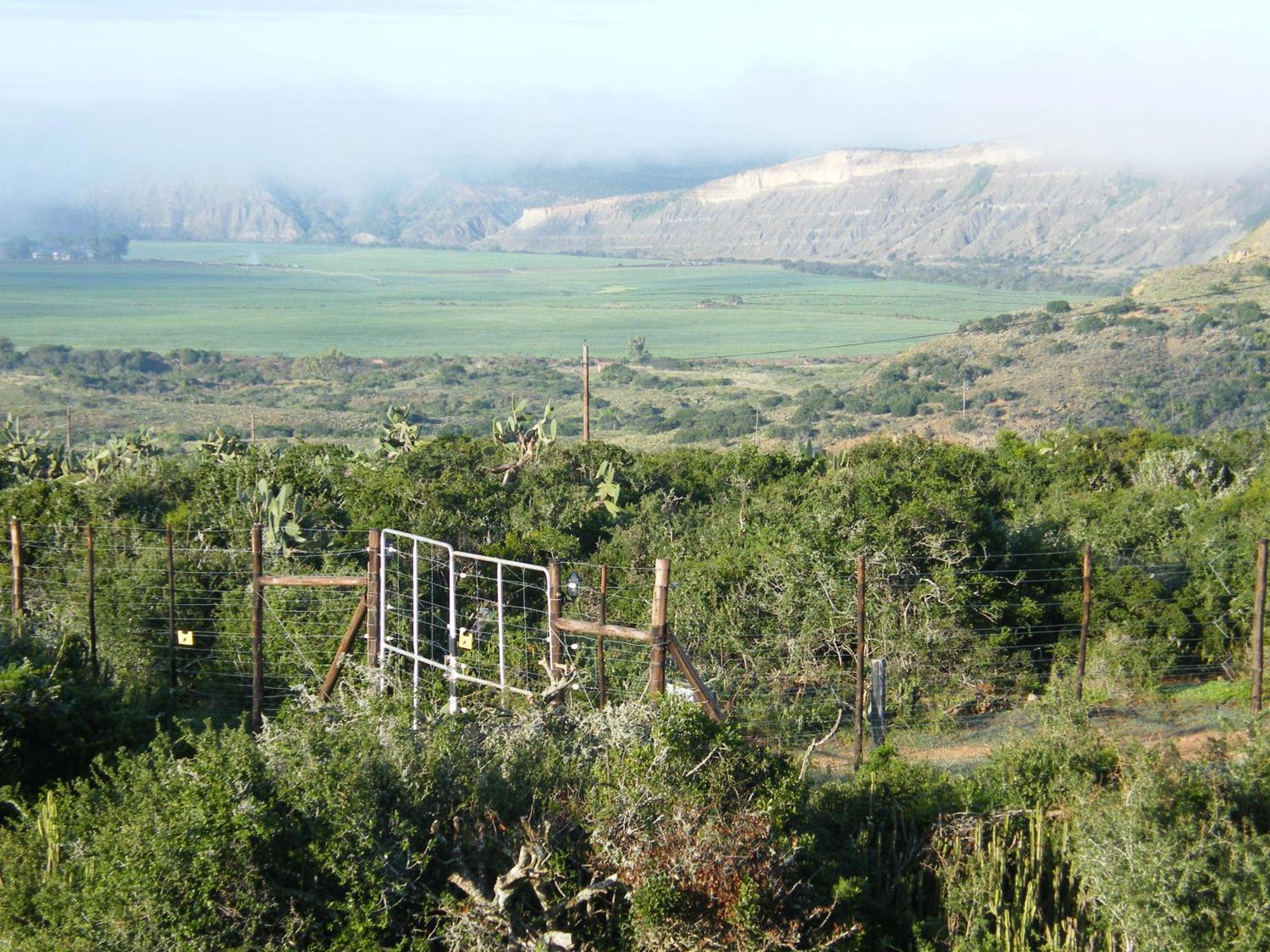 Lodge Kudu Ridge Game