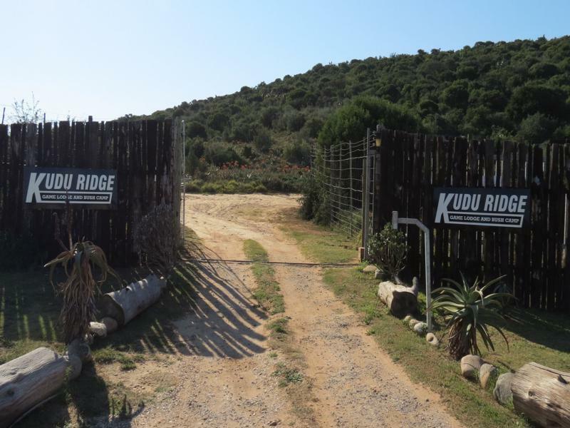 Kudu Ridge Game * Addo